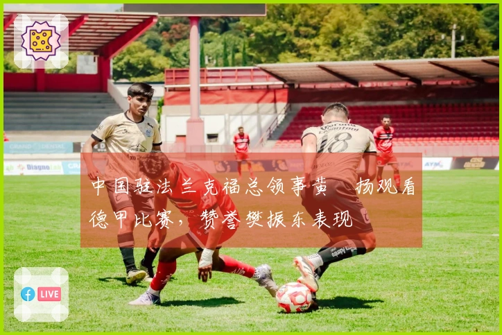 中国驻法兰克福总领事黄昳扬观看德甲比赛，赞誉樊振东表现