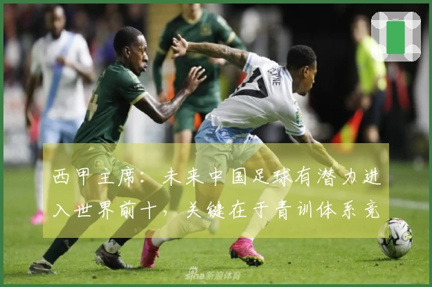 西甲主席：未来中国足球有潜力进入世界前十，关键在于青训体系竞争力不足