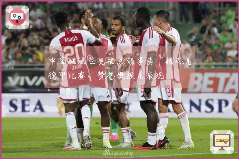 中国驻法兰克福总领事黄昳扬观看德甲比赛，赞誉樊振东表现